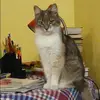 Отзыв от Валерия Гусева